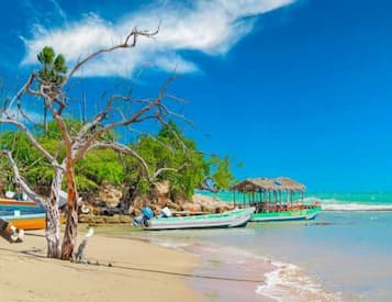 Treasure Beach