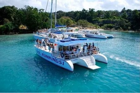Catamaran Snorkel Cruise