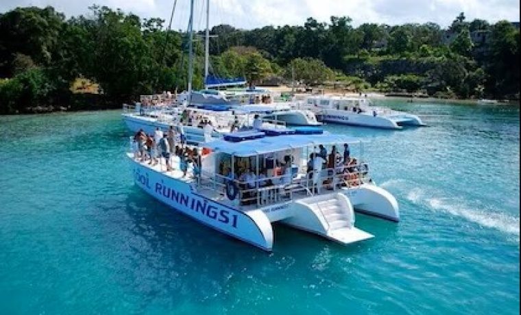 Cruise Ship Excursion Taxi