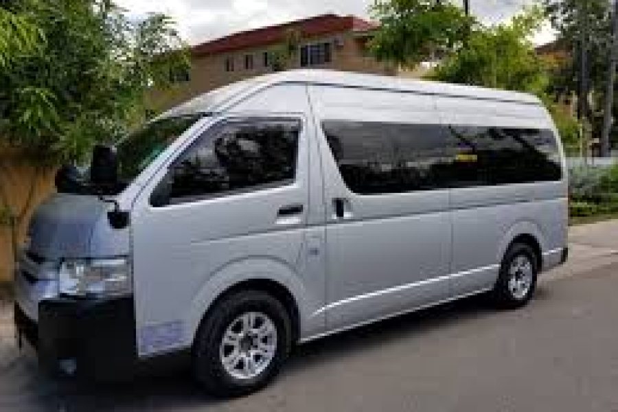 Minivan / Maxi Tour Taxi