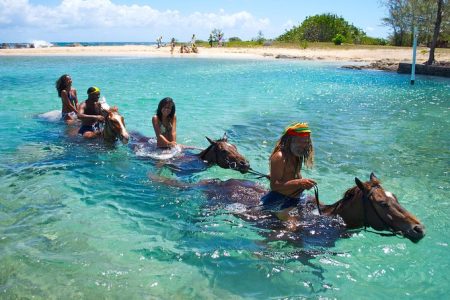 Horseback Ride & Dunn’s River Falls