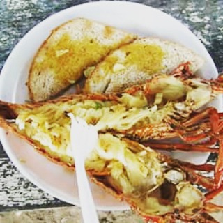 A Food Lover’s Guide to Jamaica: From Jerk Chicken to Ital Stew