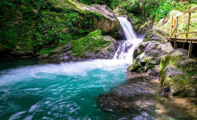 BLUE MOUNTAIN HIKING TOUR