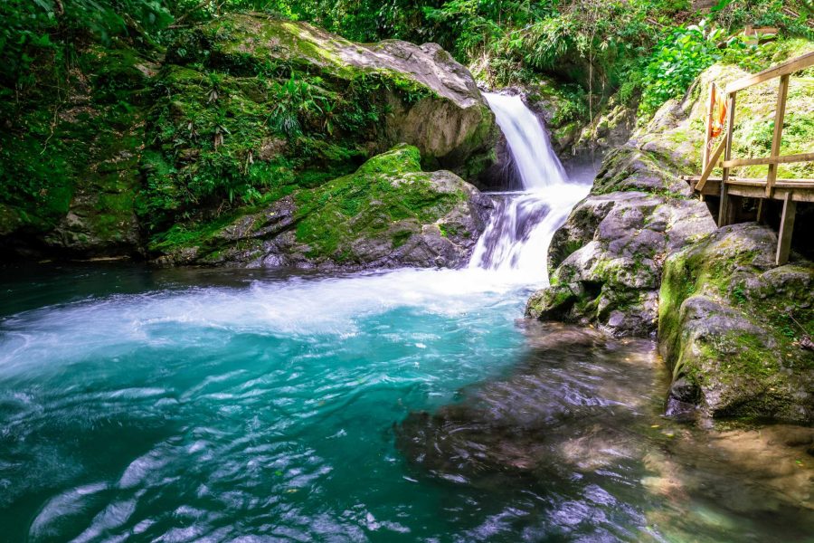 BLUE MOUNTAIN HIKING TOUR – Two days discover