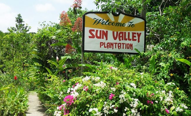 Sun Valley Plantation Tour