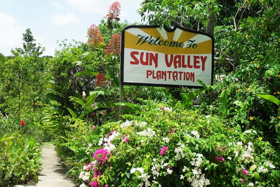 Sun Valley Plantation Tour