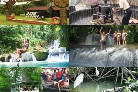 BLACK RIVER SAFARI & Appleton Rum Tour