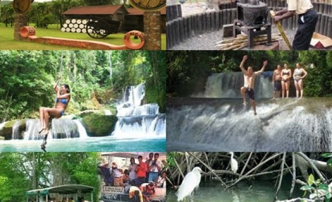 BLACK RIVER SAFARI & Appleton Rum Tour
