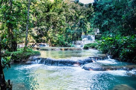 black river safari negril