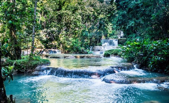 black river safari negril