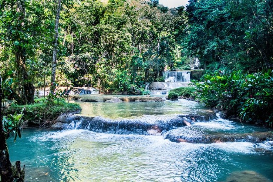 black river safari negril